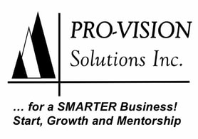 Pro-Vision Solutions Inc.